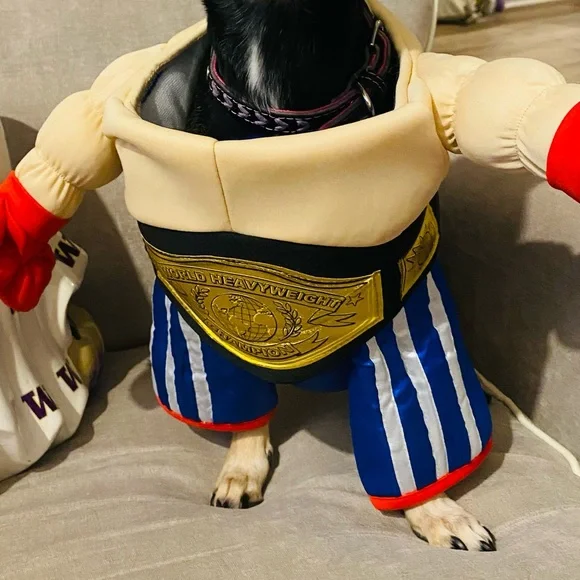 EUC [Halloween Costumes] Pro Boxer + Belt Dog Cat Pet Halloween Costume Sz Small - Picture 5 of 10